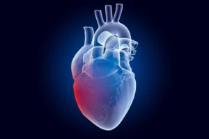 Human C Peptide Benefit the Heart